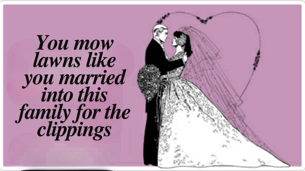 Funny Son-in-Law Quotes